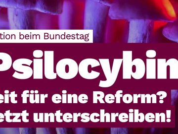 Textpost mit Pilzen im Hintergrund: Der Text sagt: Psilocybin - Zeit für eine Reform