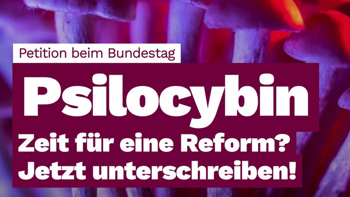 Textpost mit Pilzen im Hintergrund: Der Text sagt: Psilocybin - Zeit für eine Reform