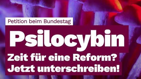 Textpost mit Pilzen im Hintergrund: Der Text sagt: Psilocybin - Zeit für eine Reform